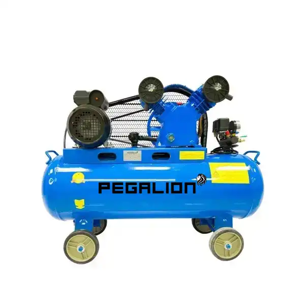 Máy nén khí 2hp 70 lít Pegalion TM-V-0.17/8-70L