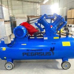 Nén khí Pegasus TM-V-1.05/12.5-330L, 380V, 10Hp, 330L, Áp 12.5